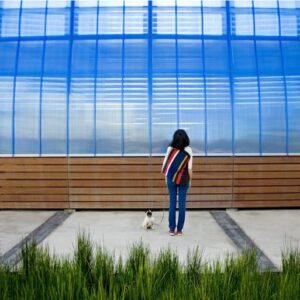 Let Me In - Limited Edition Of 100 Photograph